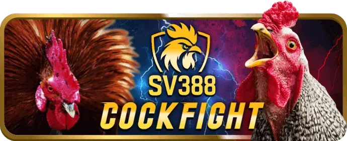 Ưu Đãi Hấp Dẫn S689